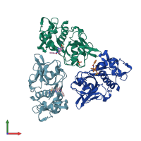 PDB entry 2hxz coloured by chain, front view.