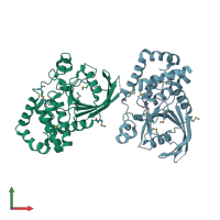 PDB entry 2hy3 coloured by chain, front view.
