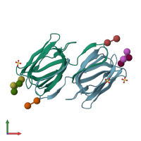 PDB entry 2hyq coloured by chain, front view.