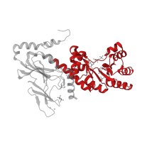 The deposited structure of PDB entry 2i1o contains 1 copy of CATH domain 3.20.20.70 (TIM Barrel) in Putative nicotinate phosphoribosyltransferase. Showing 1 copy in chain A.