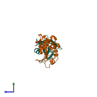 Hetero dimeric assembly 1 of PDB entry 2i25 coloured by chemically distinct molecules, side view.
