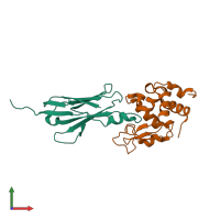 Hetero dimeric assembly 2 of PDB entry 2i25 coloured by chemically distinct molecules, front view.