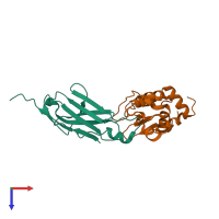 Hetero dimeric assembly 2 of PDB entry 2i25 coloured by chemically distinct molecules, top view.