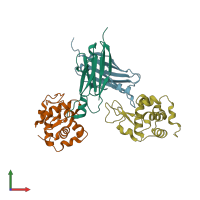 PDB entry 2i25 coloured by chain, front view.
