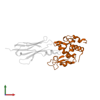 Lysozyme C in PDB entry 2i25, assembly 1, front view.