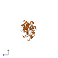 Lysozyme C in PDB entry 2i25, assembly 1, side view.