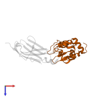 Lysozyme C in PDB entry 2i25, assembly 1, top view.