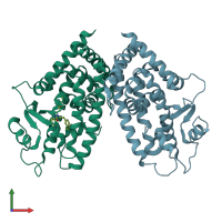 PDB entry 2i4j coloured by chain, front view.