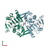 PDB entry 2i5e coloured by chain, front view.