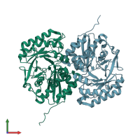 PDB entry 2i5q coloured by chain, front view.