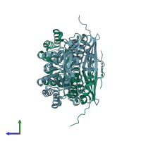 PDB entry 2i5q coloured by chain, side view.
