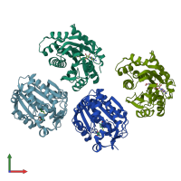 PDB entry 2i62 coloured by chain, front view.