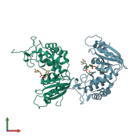 PDB entry 2i67 coloured by chain, front view.