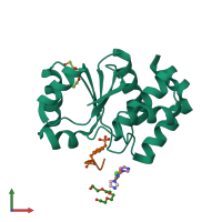 PDB entry 2i6o coloured by chain, front view.