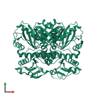 D-alanine--D-alanine ligase in PDB entry 2i87, assembly 1, front view.