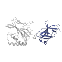 The deposited structure of PDB entry 2i9t contains 1 copy of Pfam domain PF16179 (Rel homology dimerisation domain) in Nuclear factor NF-kappa-B p50 subunit. Showing 1 copy in chain D [auth B].