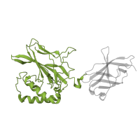 The deposited structure of PDB entry 2i9t contains 1 copy of SCOP domain 81315 (Rel/Dorsal transcription factors, DNA-binding domain) in Nuclear factor NF-kappa-B p50 subunit. Showing 1 copy in chain D [auth B].