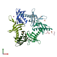 PDB entry 2ia9 coloured by chain, front view.
