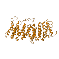 The deposited structure of PDB entry 2iae contains 2 copies of Pfam domain PF01603 (Protein phosphatase 2A regulatory B subunit (B56 family)) in Serine/threonine-protein phosphatase 2A 56 kDa regulatory subunit gamma isoform. Showing 1 copy in chain E.