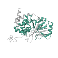 The deposited structure of PDB entry 2iae contains 2 copies of Pfam domain PF00149 (Calcineurin-like phosphoesterase) in Serine/threonine-protein phosphatase 2A catalytic subunit alpha isoform. Showing 1 copy in chain C.