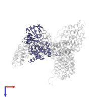 Serine/threonine-protein phosphatase 2A catalytic subunit alpha isoform in PDB entry 2iae, assembly 1, top view.