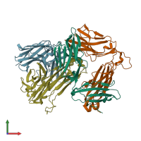 PDB entry 2ial coloured by chain, front view.