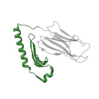 The deposited structure of PDB entry 2iam contains 1 copy of Pfam domain PF00993 (Class II histocompatibility antigen, alpha domain) in HLA class II histocompatibility antigen, DR alpha chain. Showing 1 copy in chain A.