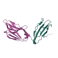 The deposited structure of PDB entry 2iam contains 2 copies of CATH domain 2.60.40.10 (Immunoglobulin-like) in T cell receptor alpha chain constant. Showing 2 copies in chain D [auth C].