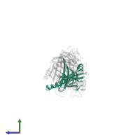 HLA class II histocompatibility antigen, DR alpha chain in PDB entry 2iam, assembly 1, side view.