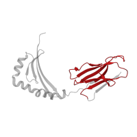 The deposited structure of PDB entry 2ian contains 4 copies of Pfam domain PF07654 (Immunoglobulin C1-set domain) in HLA class II histocompatibility antigen, DRB1 beta chain. Showing 1 copy in chain Q.