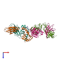 Hetero pentameric assembly 4 of PDB entry 2ian coloured by chemically distinct molecules, top view.