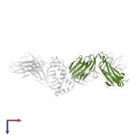 T cell receptor beta constant 1 in PDB entry 2ian, assembly 3, top view.