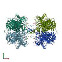 PDB entry 2ib9 coloured by chain, front view.