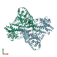 PDB entry 2ibm coloured by chain, front view.
