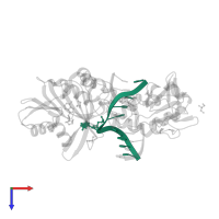 5'-D(*GP*TP*TP*CP*GP*(2PR)P*TP*GP*TP*C)-3' in PDB entry 2ibt, assembly 1, top view.