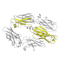 The deposited structure of PDB entry 2icf contains 1 copy of Pfam domain PF07703 (Alpha-2-macroglobulin bait region domain) in Complement C3 beta chain. Showing 1 copy in chain A.