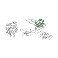 The deposited structure of PDB entry 2icf contains 1 copy of Pfam domain PF07677 (A-macroglobulin receptor binding domain) in Complement C3b alpha' chain. Showing 1 copy in chain B.