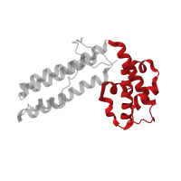 The deposited structure of PDB entry 2icw contains 2 copies of CATH domain 1.10.10.530 (Arc Repressor Mutant, subunit A) in Superantigen. Showing 1 copy in chain G.