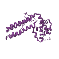 The deposited structure of PDB entry 2icw contains 2 copies of SCOP domain 101345 (Superantigen MAM) in Superantigen. Showing 1 copy in chain G.