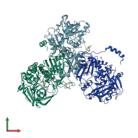 PDB entry 2idb coloured by chain, front view.