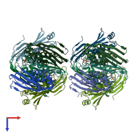 PDB entry 2ide coloured by chain, top view.