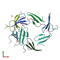 PDB entry 2idh coloured by chain, front view.