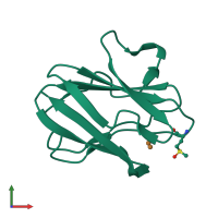PDB entry 2idu coloured by chain, front view.