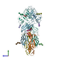 PDB entry 2ifg coloured by chain, side view.