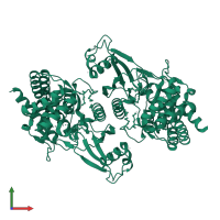 Choline/ethanolamine kinase in PDB entry 2ig7, assembly 1, front view.