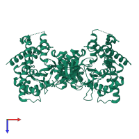 Choline/ethanolamine kinase in PDB entry 2ig7, assembly 1, top view.