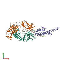 PDB entry 2ih1 coloured by chain, front view.