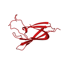 The deposited structure of PDB entry 2ii8 contains 8 copies of CATH domain 2.60.290.11 (Hypothetical Protein Tm1070; Chain: A) in Sensory rhodopsin transducer. Showing 1 copy in chain B.