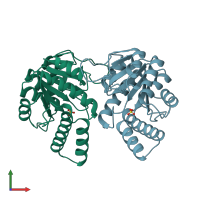 PDB entry 2ij9 coloured by chain, front view.