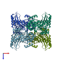 PDB entry 2im5 coloured by chain, top view.